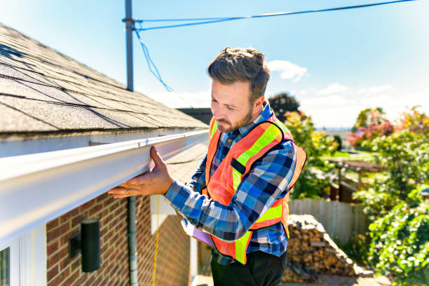 Best Roof Moss and Algae Removal  in Laurel, FL